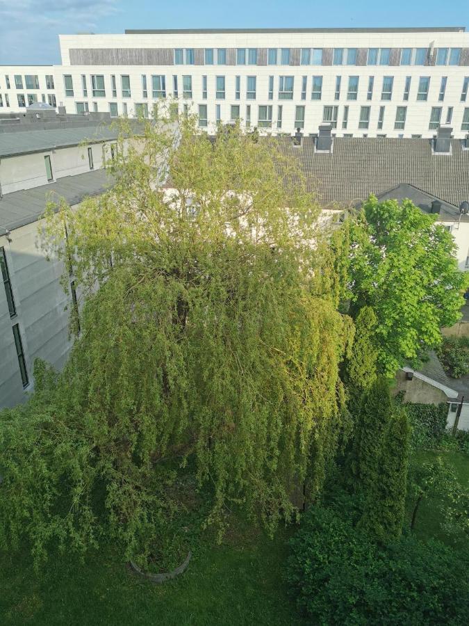Appartement Kongensgate, Koselig Liten Leilighet, 5 Min Unna Sentrum *
